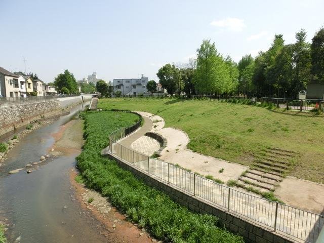 善福寺川